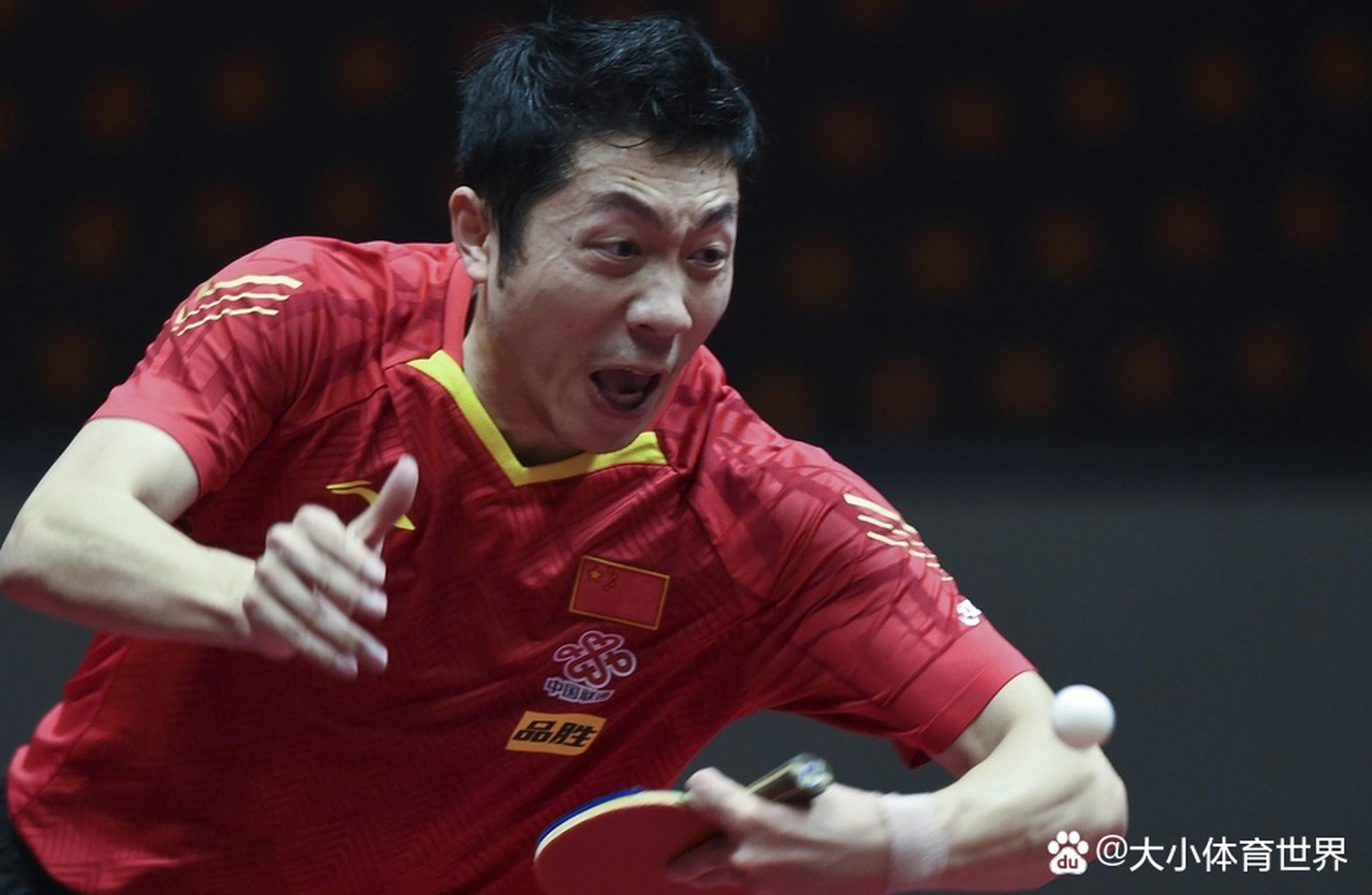 德国队力克波兰队,许昕高光表现 德国队力克波兰队,许昕高光表现